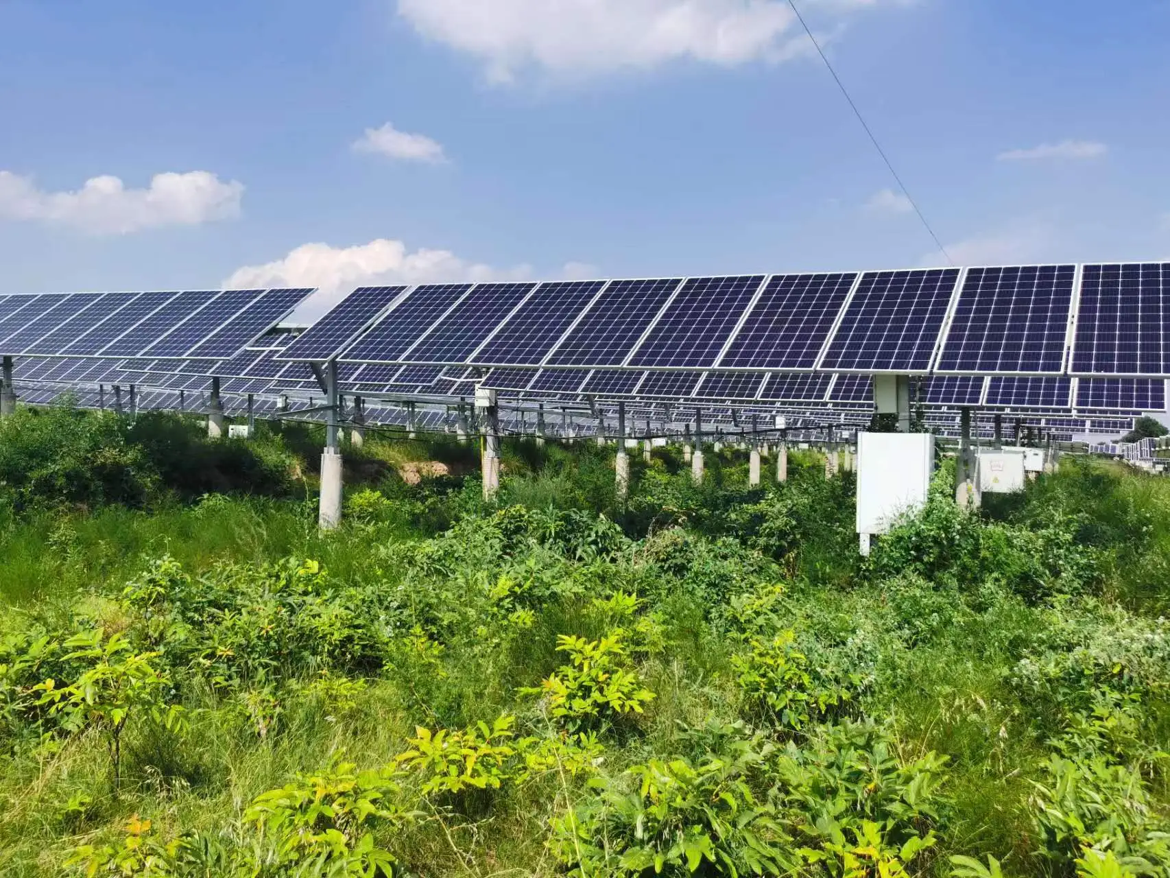 Solarsurges Services